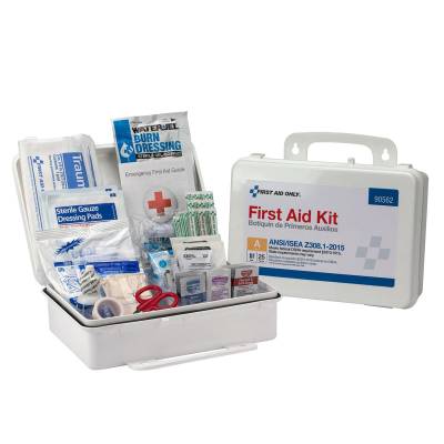 First Aid Kit 25 Person Ansi A Plastic Case